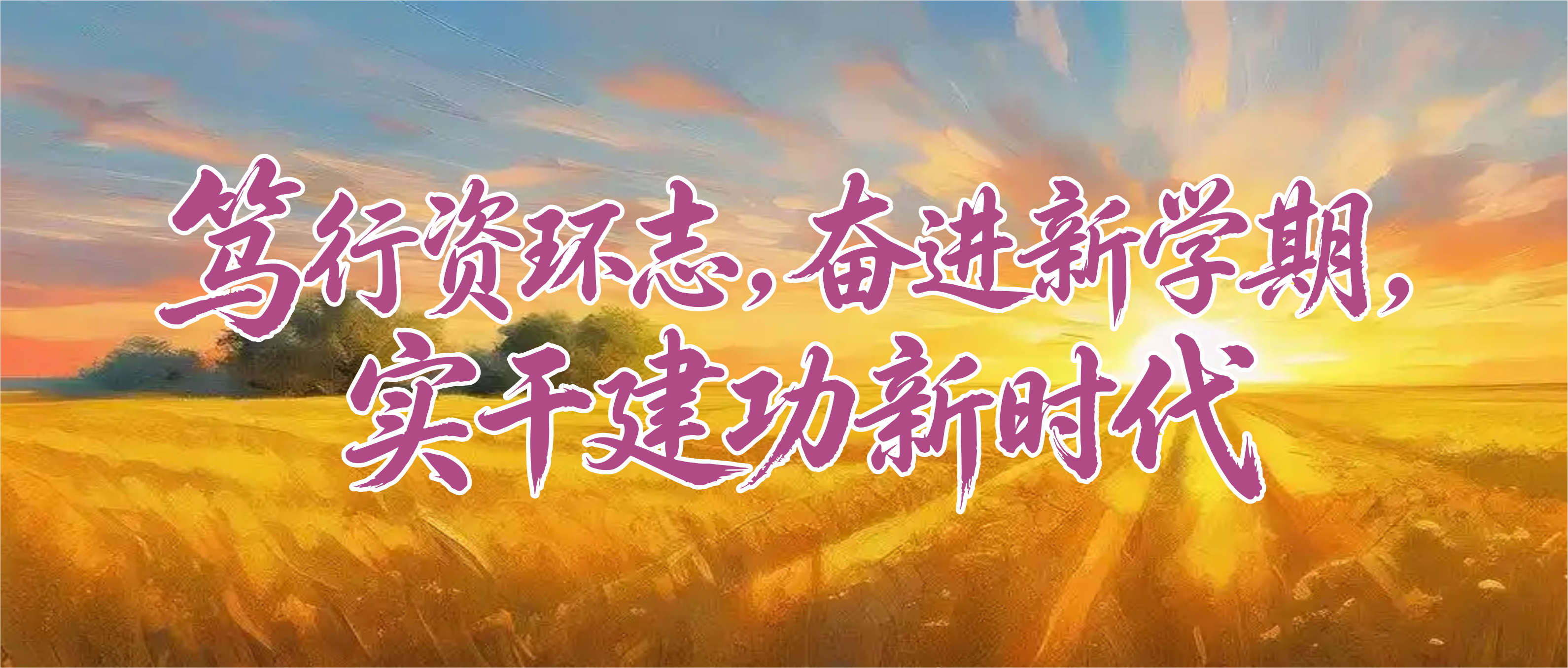 PA视讯